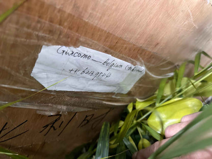 Shelby Style Fiber Hood packaging with shipping label and protective wrapping for Mustang Mach-E car part