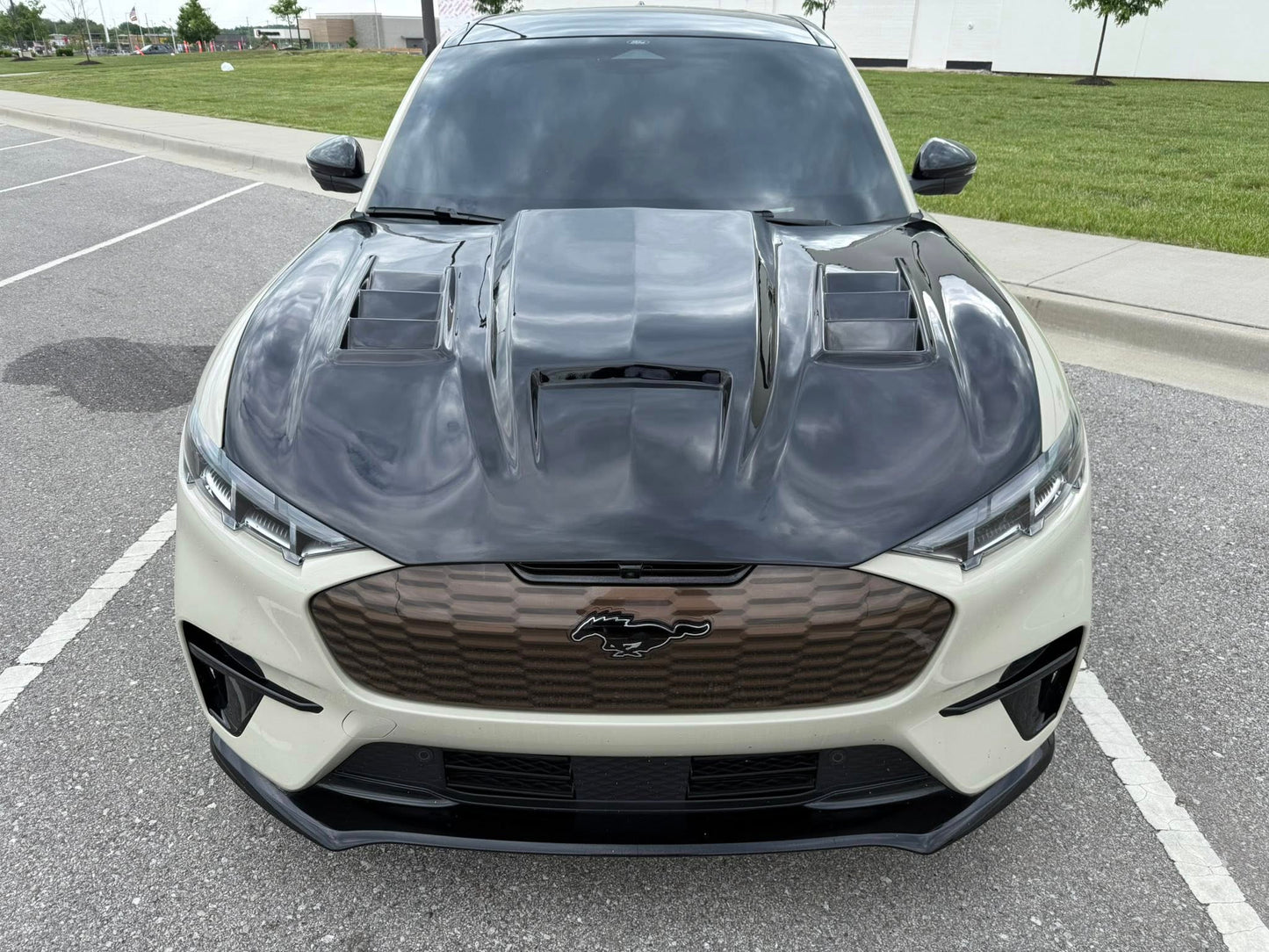 NEW ANIMAL HOOD WITH VENTS