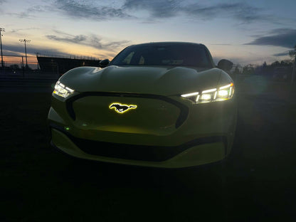 FRONT LIGHT‑UP PONY