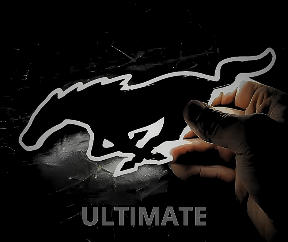 ULTIMATE FRONT/REAR KIT Mustang Mach-E 2026 light-up pony emblem with LED technology and lifetime warranty