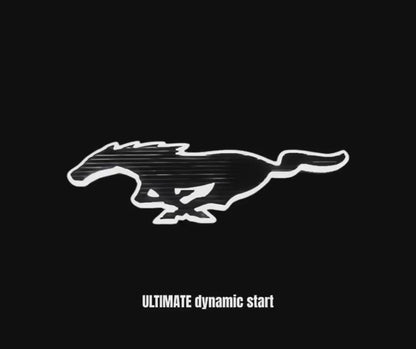 FRONT LIGHT‑UP PONY